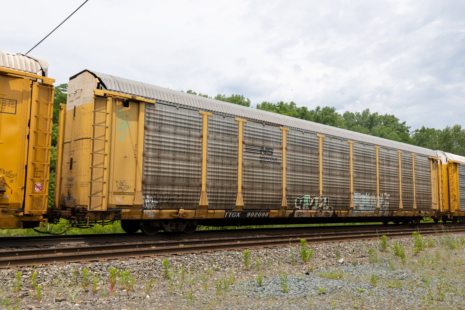 TTGX 992098