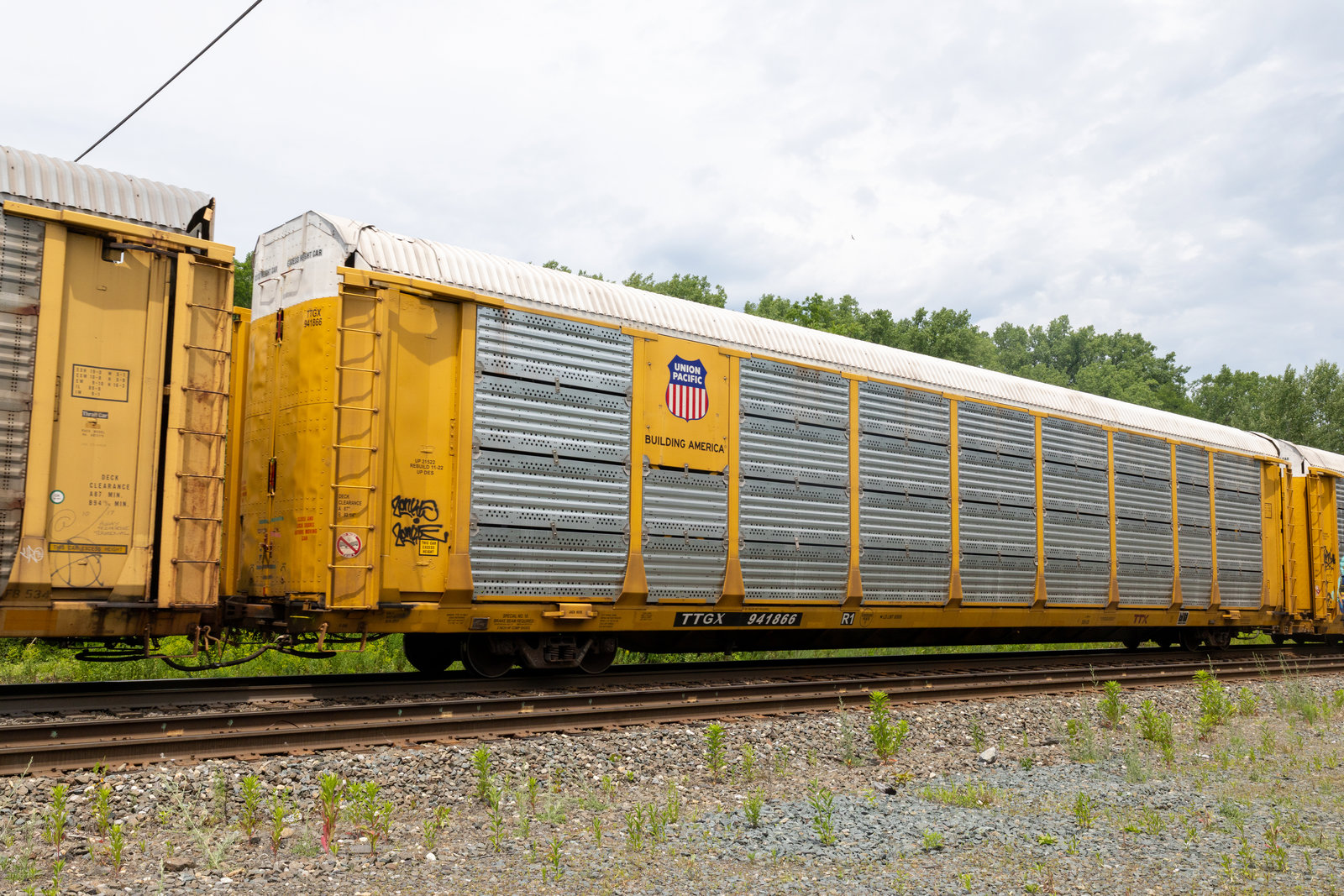TTGX 941866