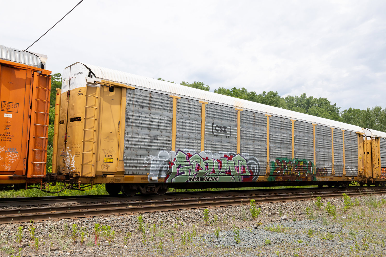 TTGX 974824