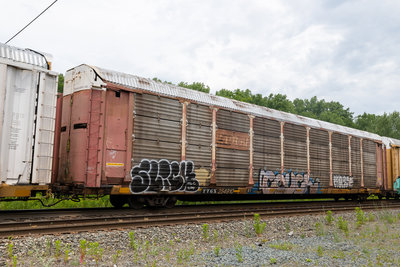 TTGX 254910