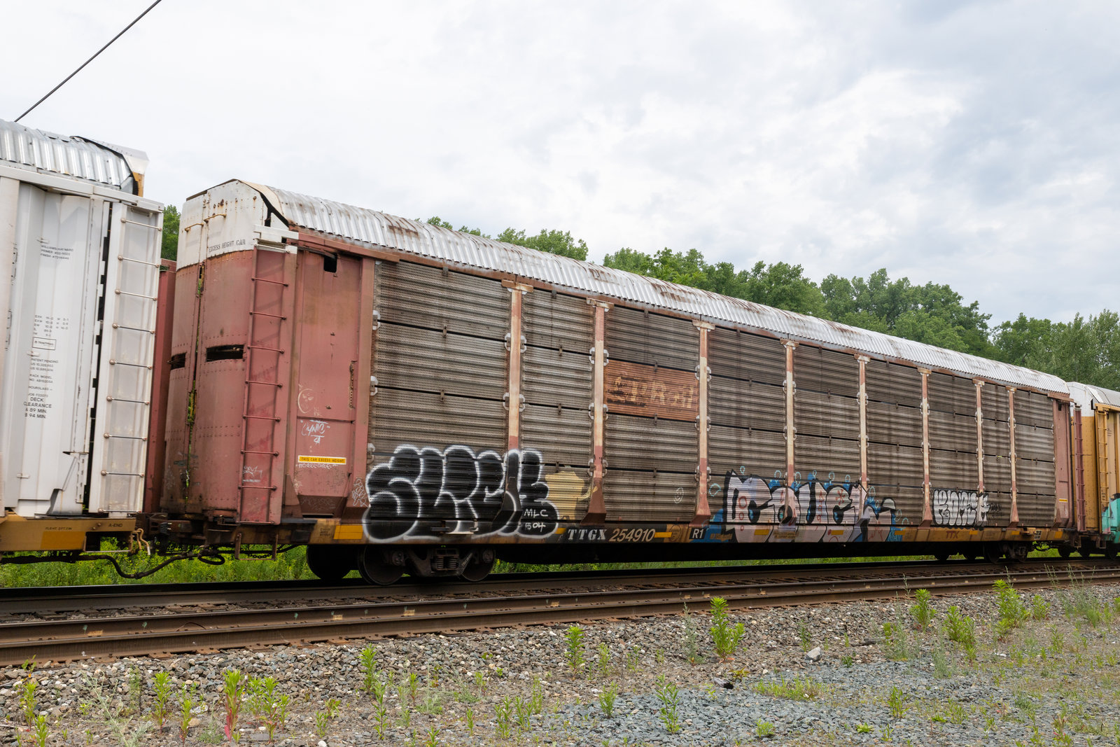 TTGX 254910