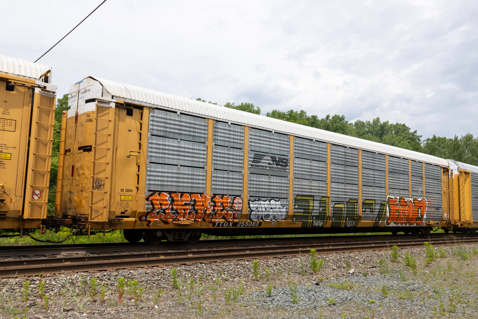 TTGX 255083