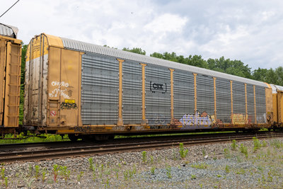 TTGX 715923