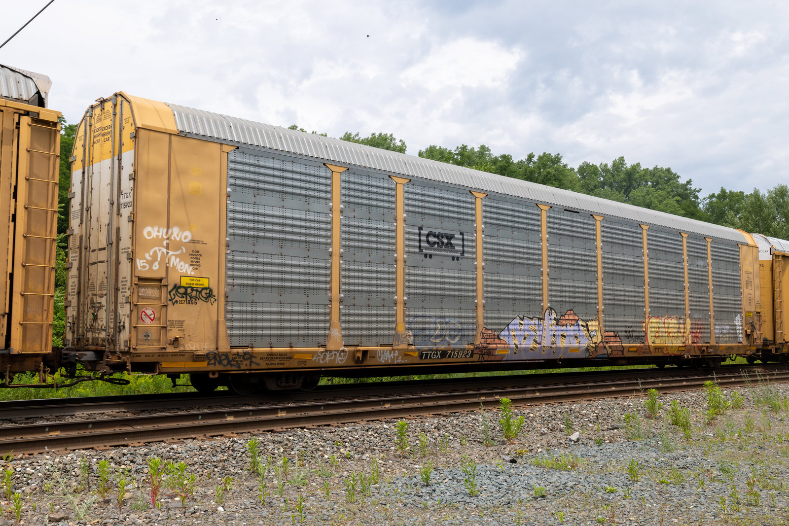 TTGX 715923