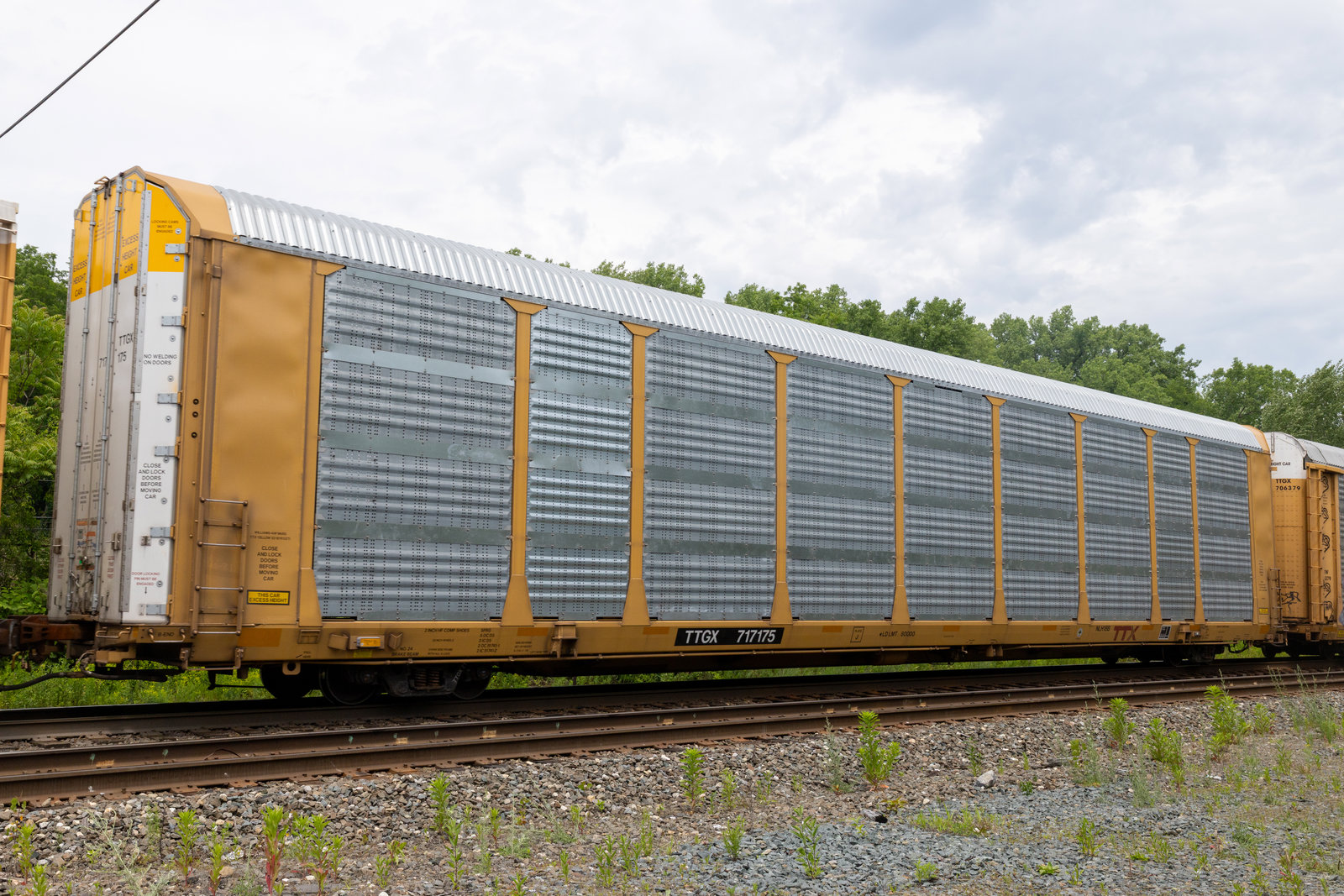TTGX 717175