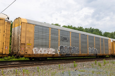TTGX 715783
