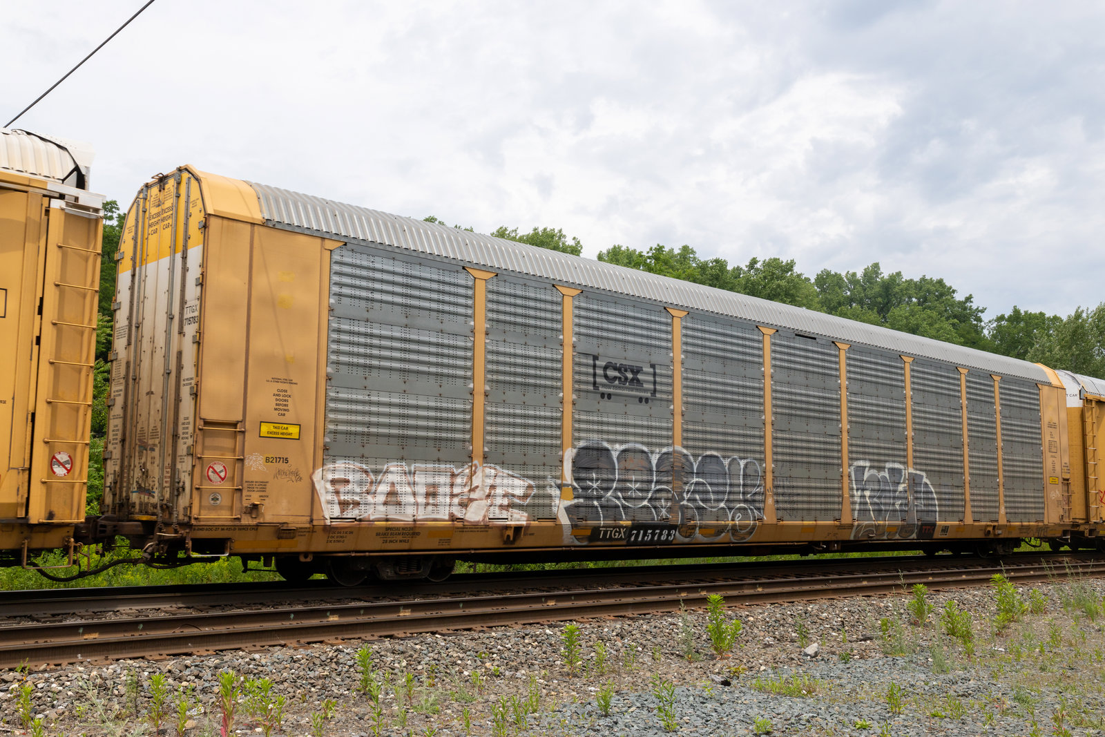 TTGX 715783