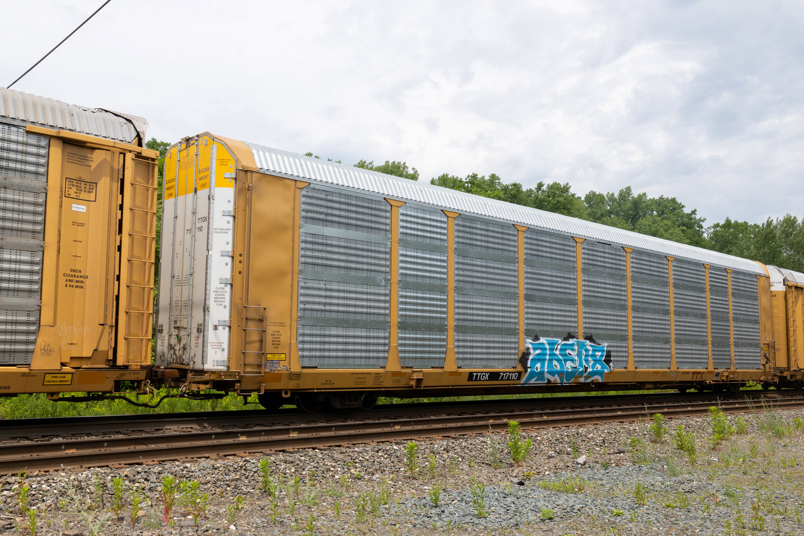 TTGX 717110