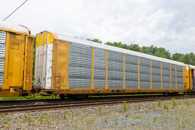 TTGX 717219