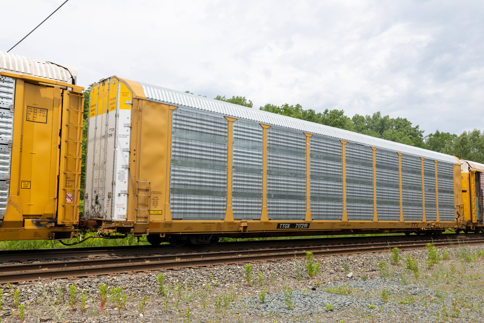TTGX 717219