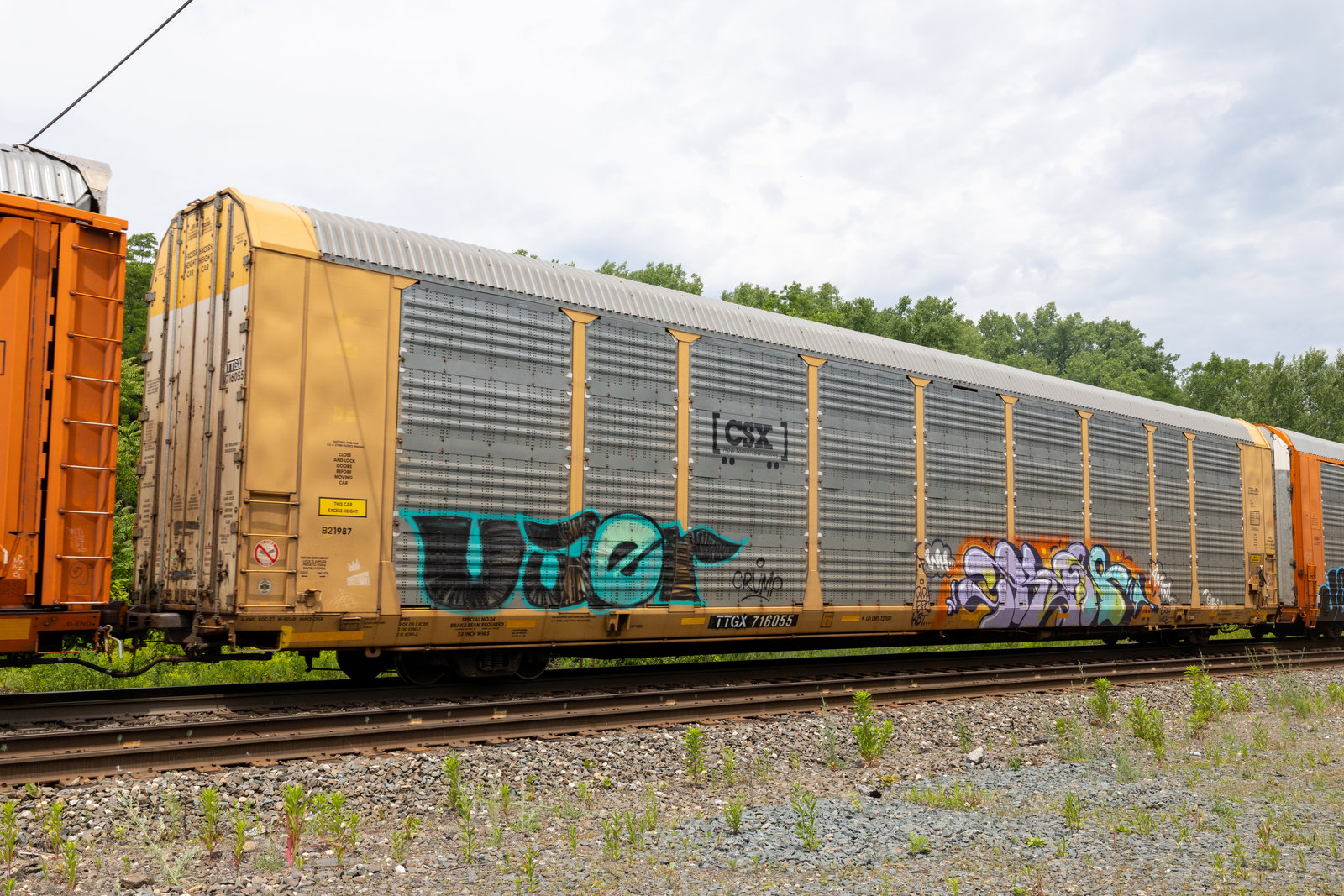 TTGX 716055