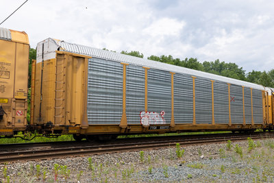 TTGX 835772