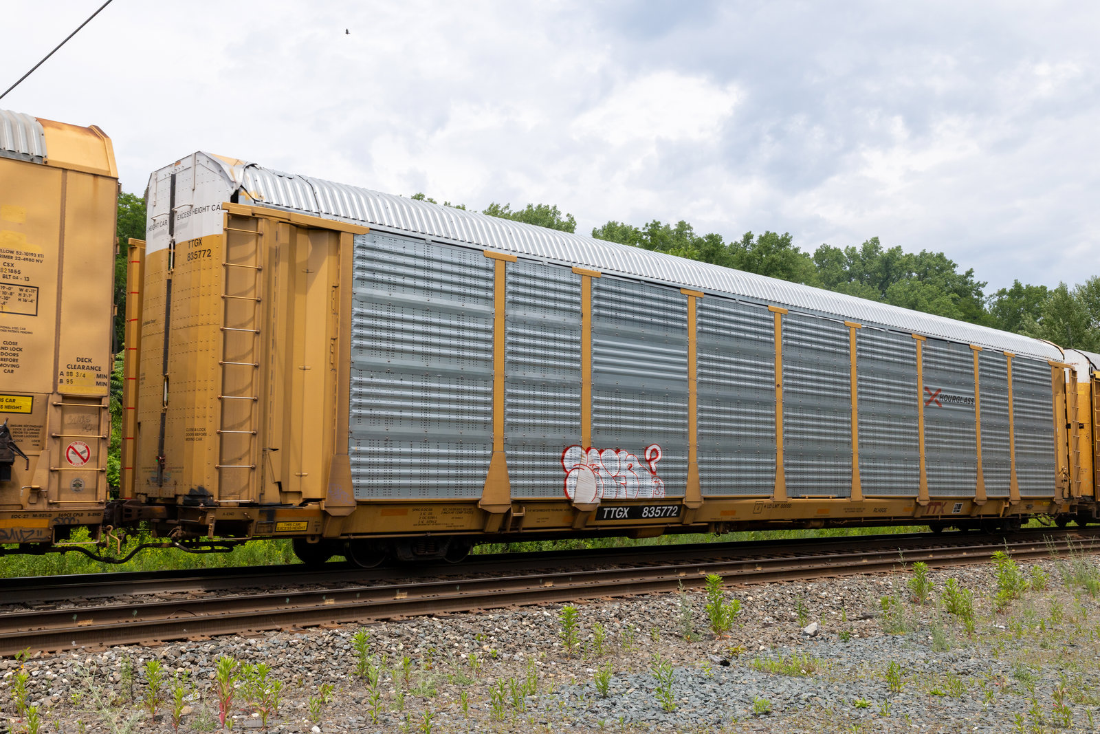 TTGX 835772