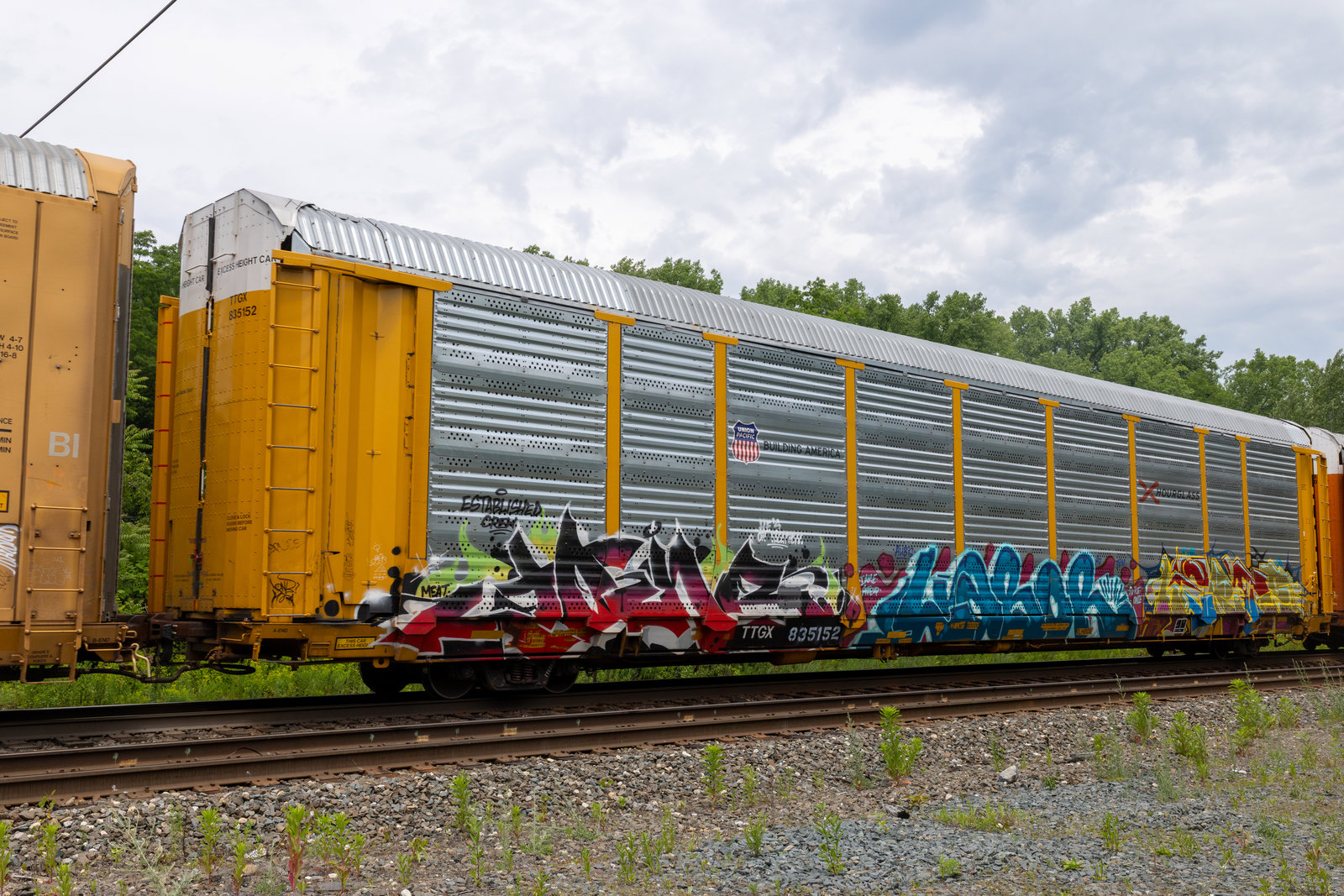 TTGX 835152