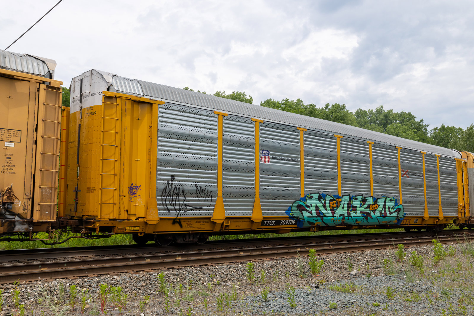TTGX 709789