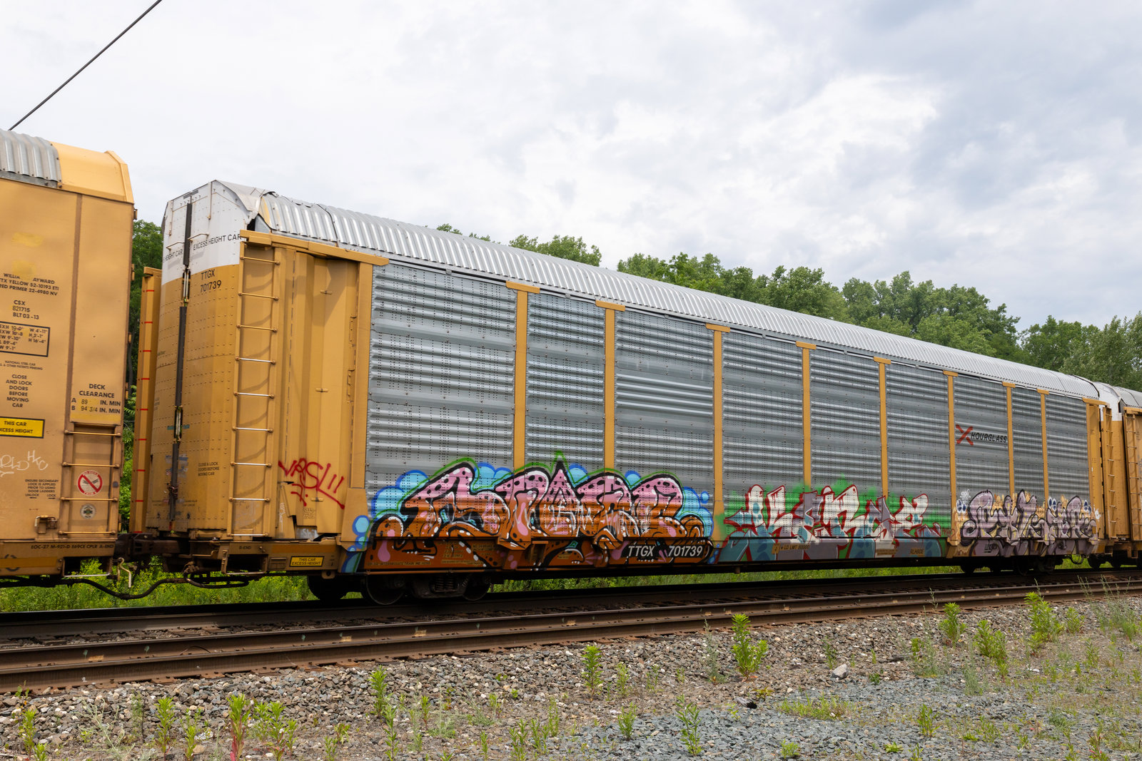 TTGX 701739