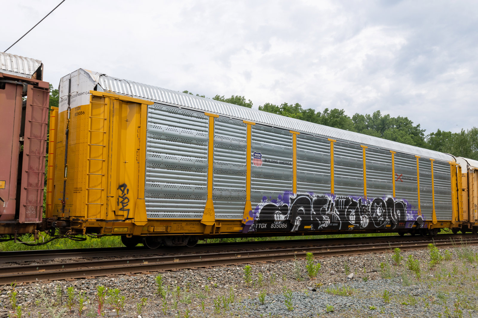 TTGX 835086