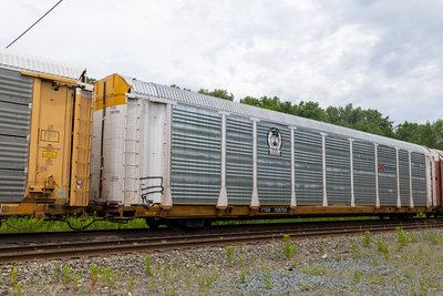 TTGX 708706