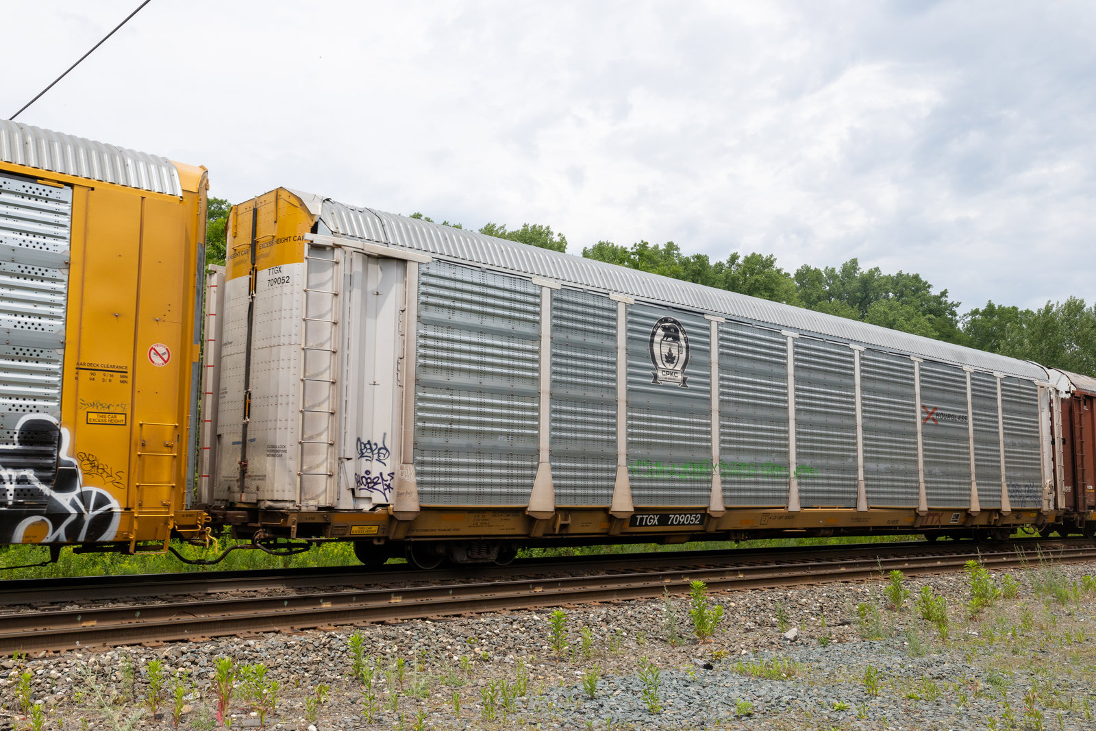 TTGX 709052