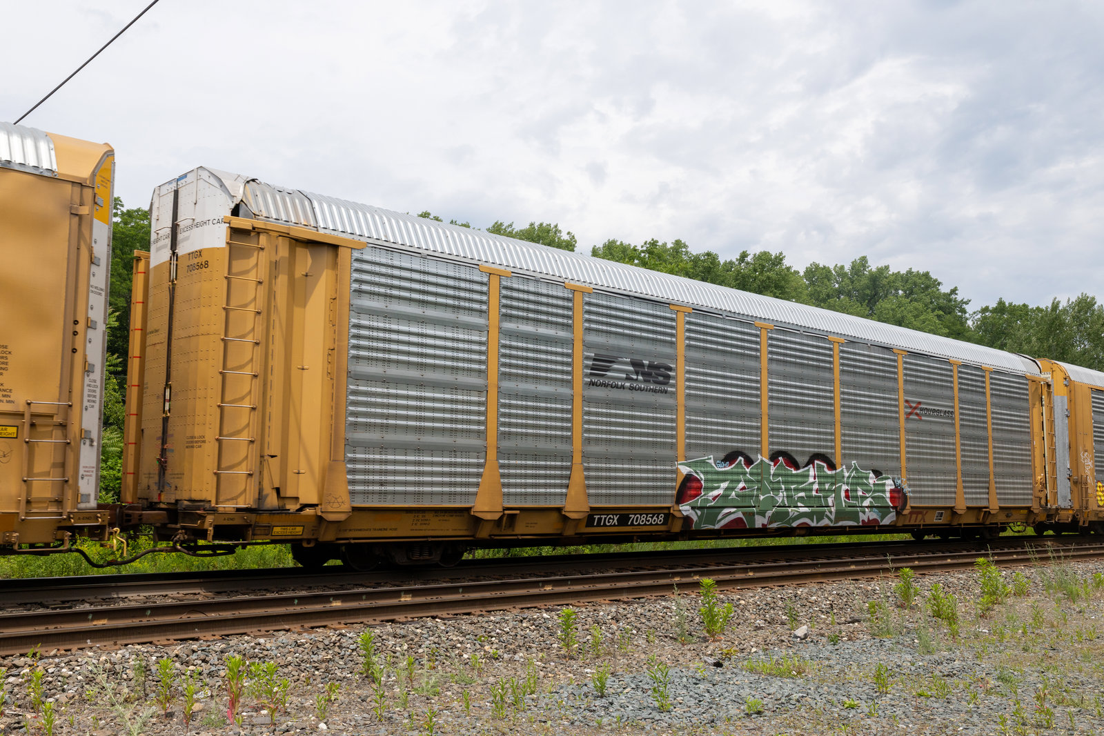 TTGX 708568