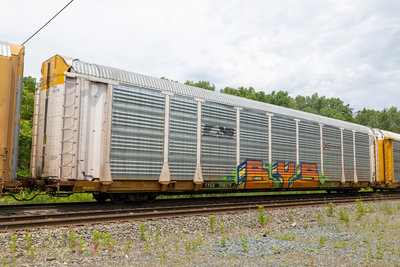 TTGX 708275