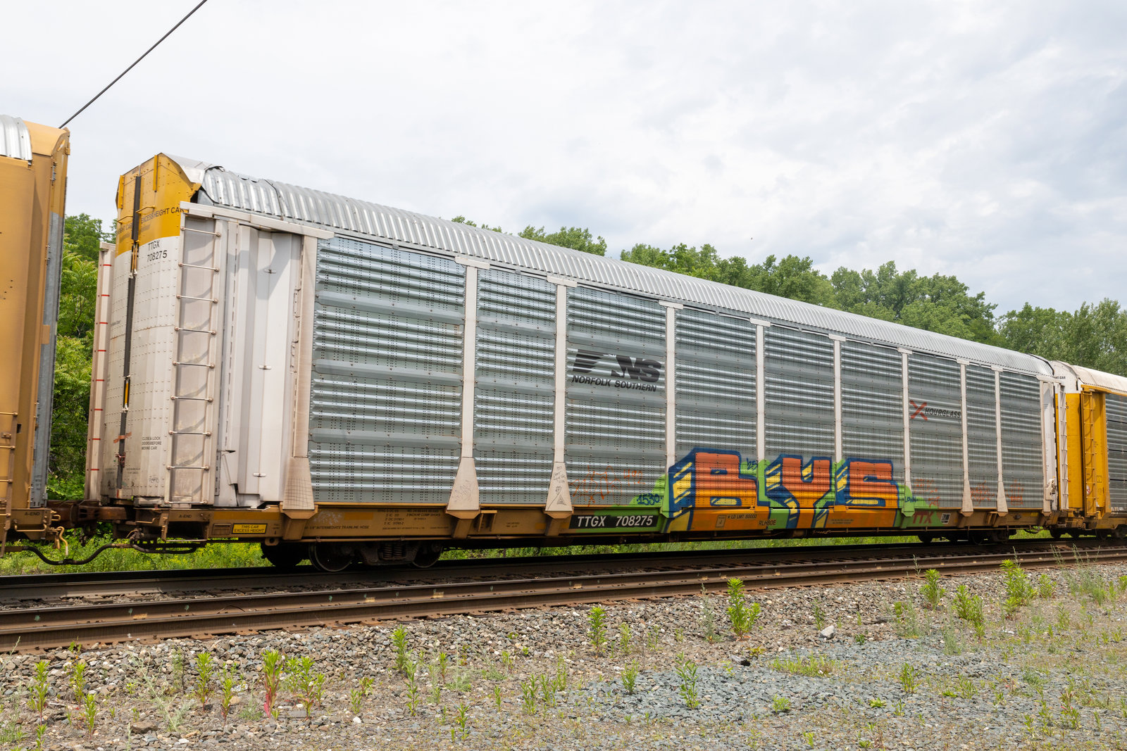 TTGX 708275