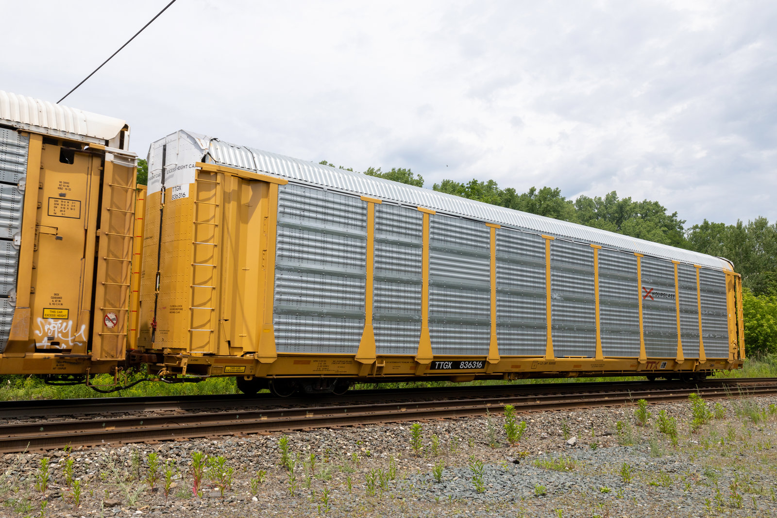 TTGX 836316