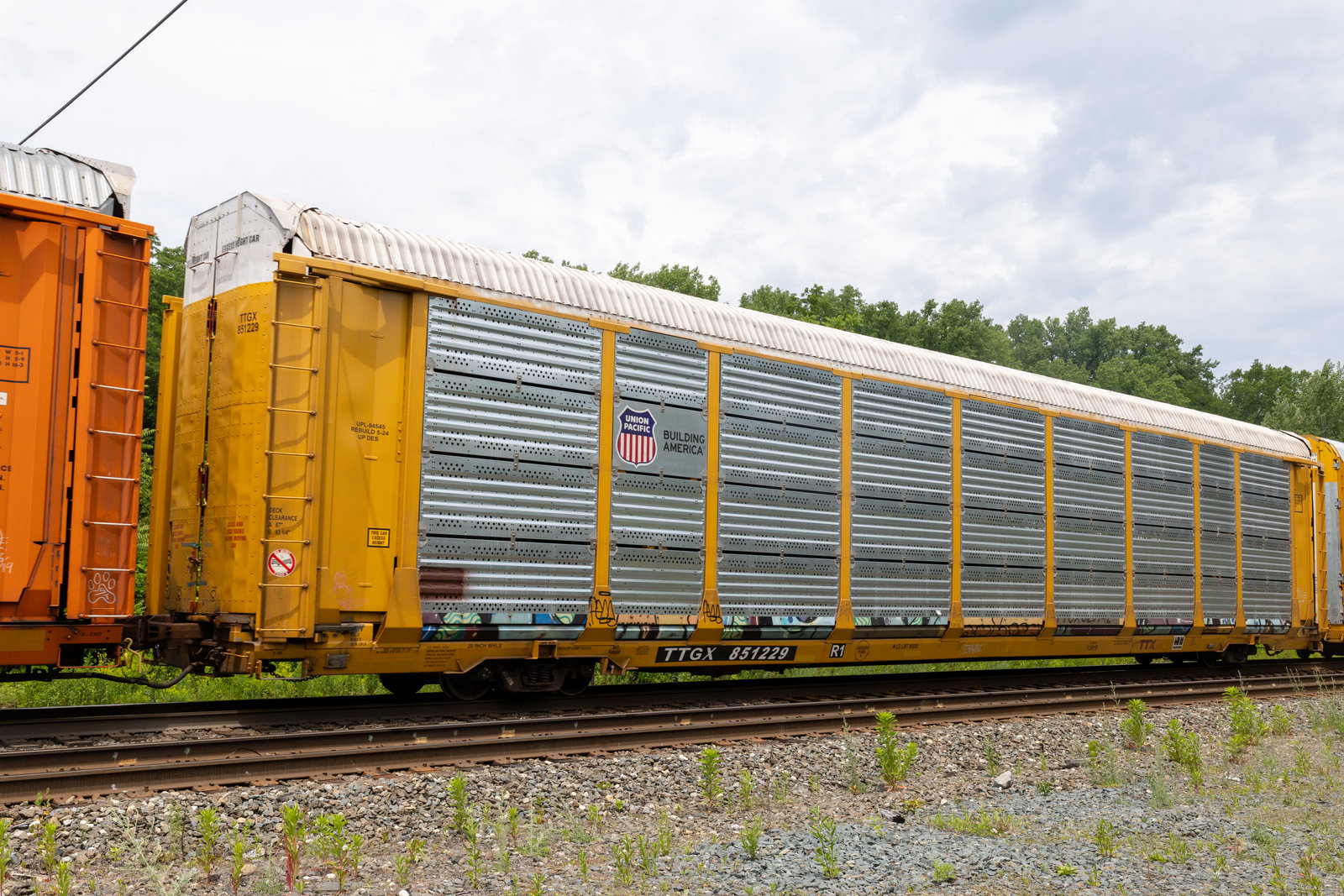 TTGX 851229