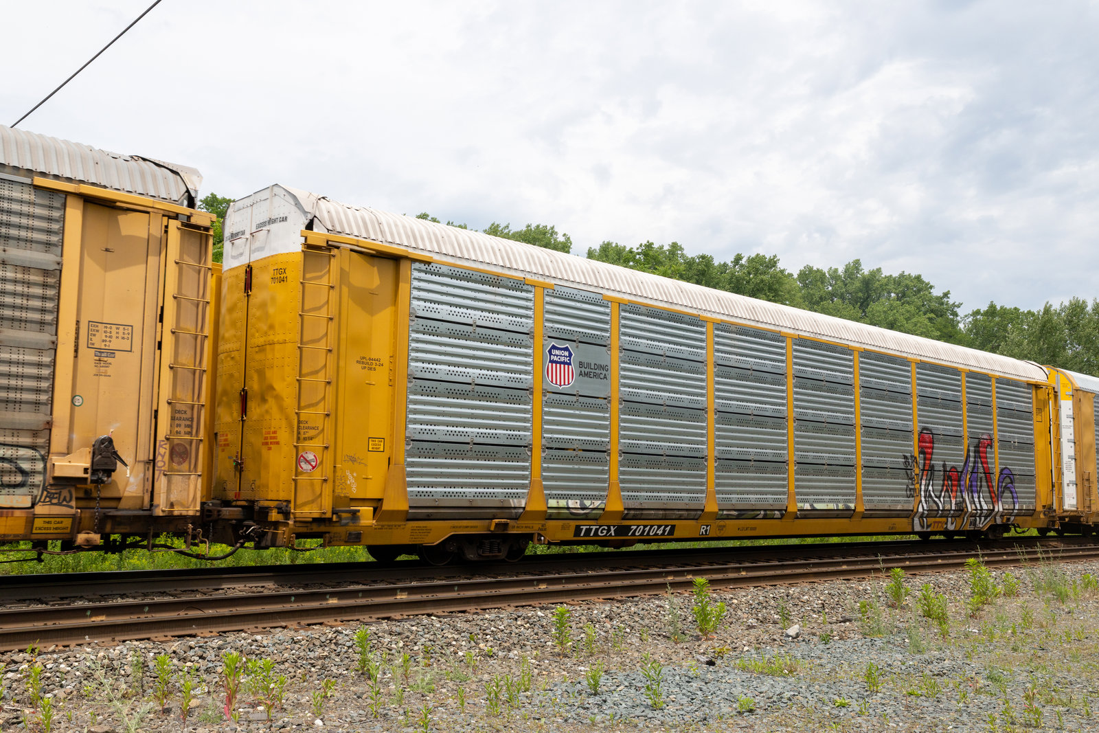 TTGX 701041