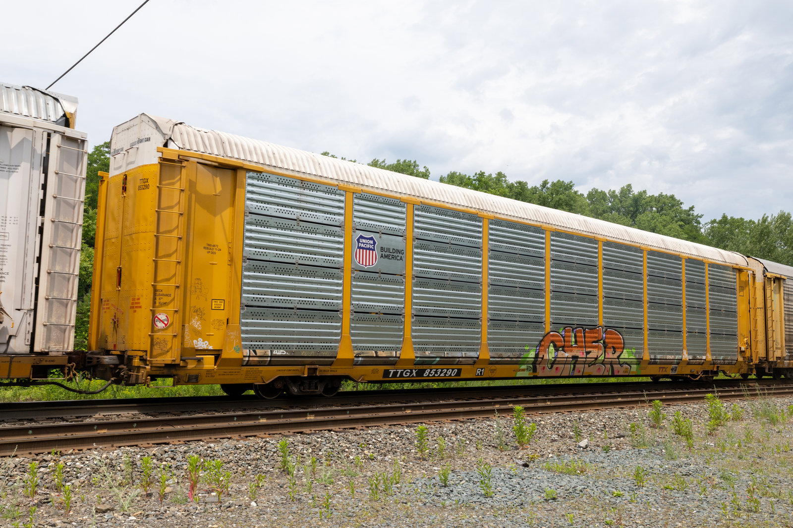 TTGX 853290