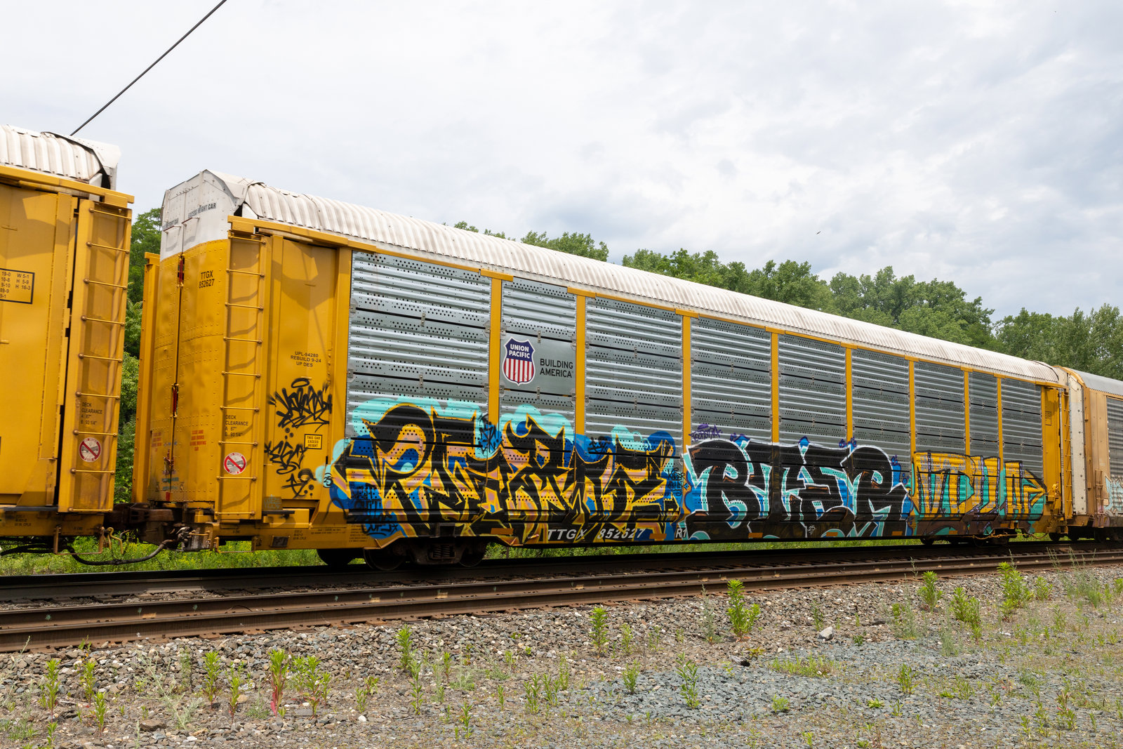 TTGX 852627