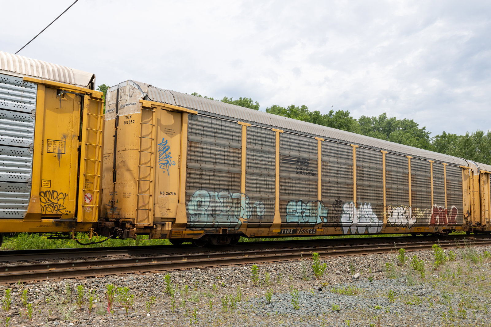 TTGX 853552