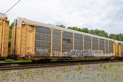 TTGX 851713