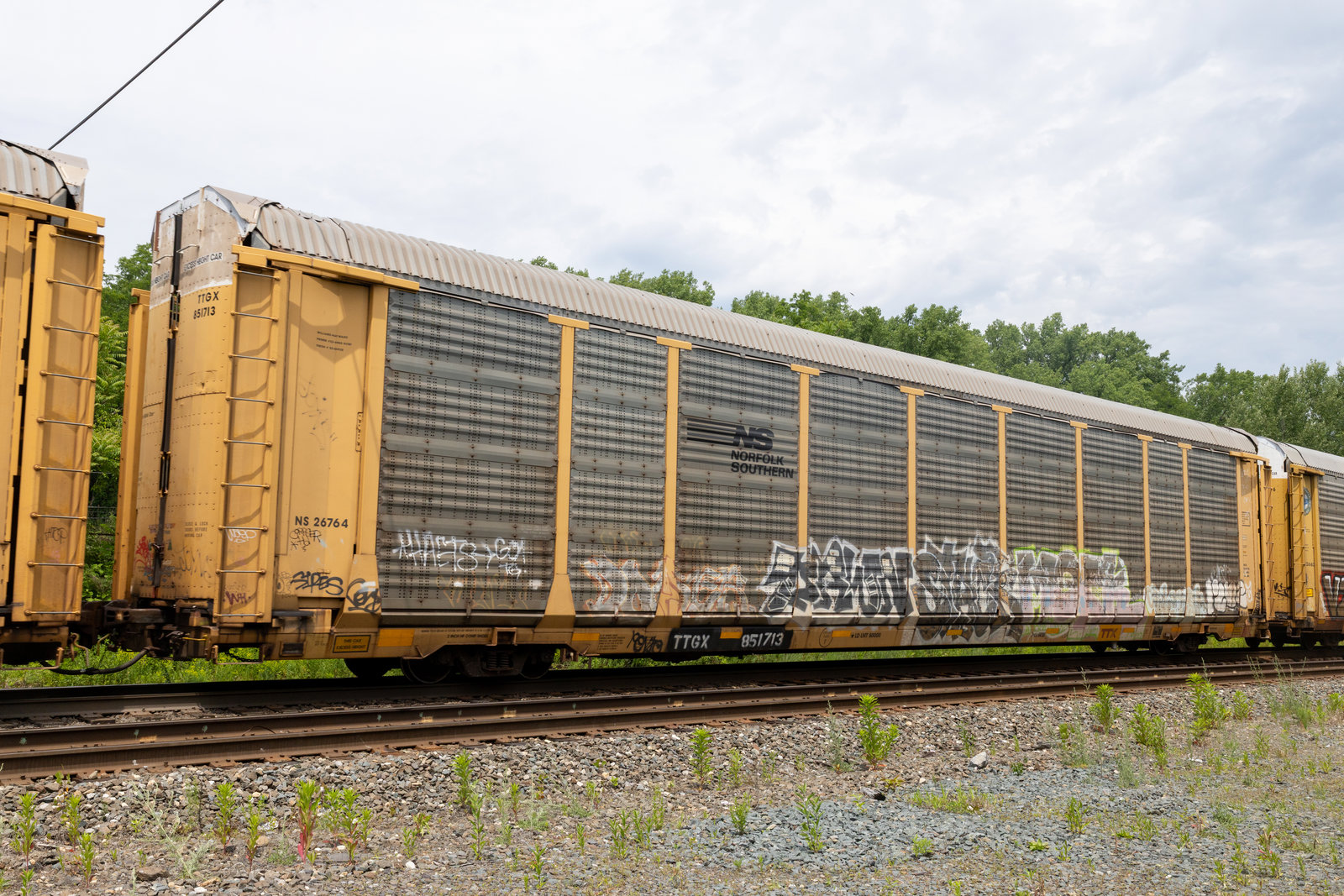 TTGX 851713