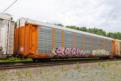 BNSF 301109