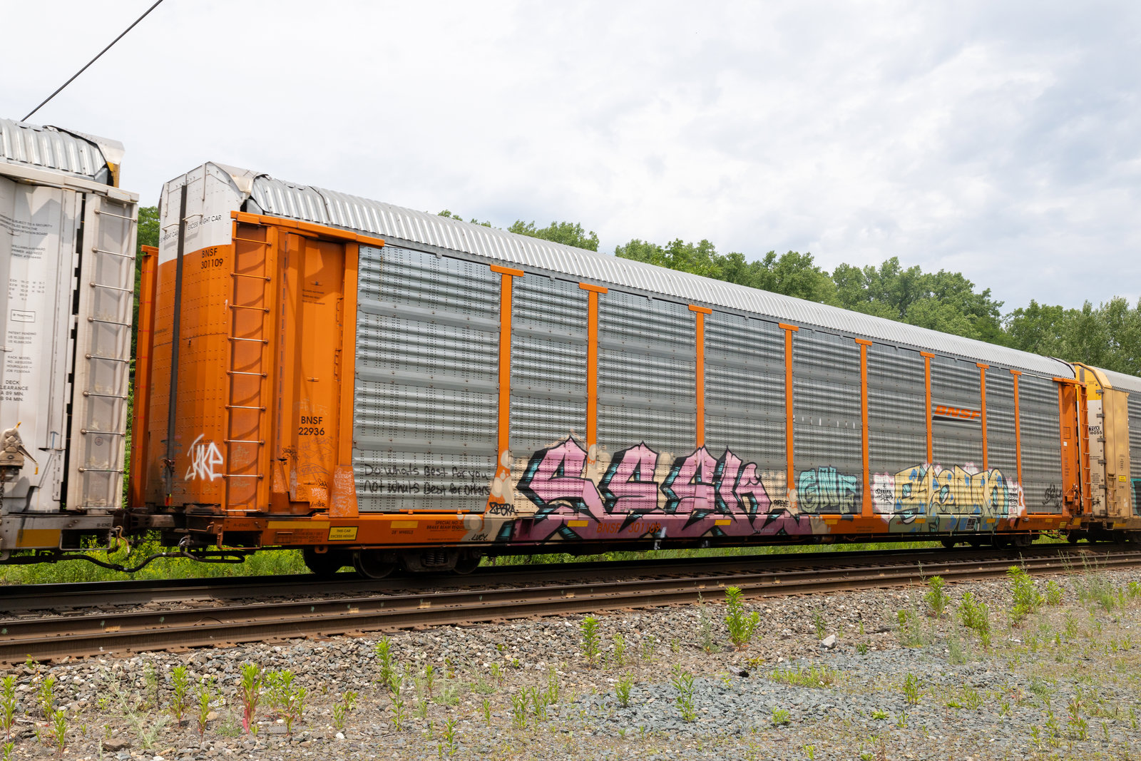 BNSF 301109