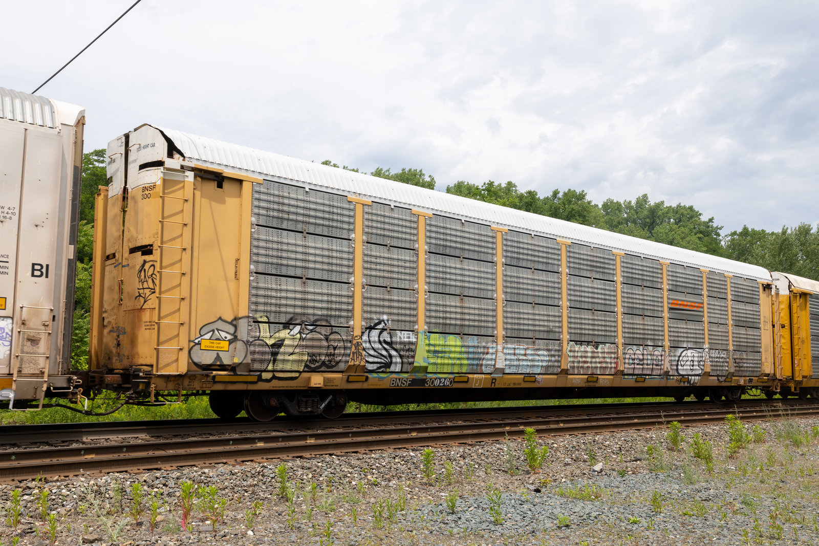 BNSF 300260