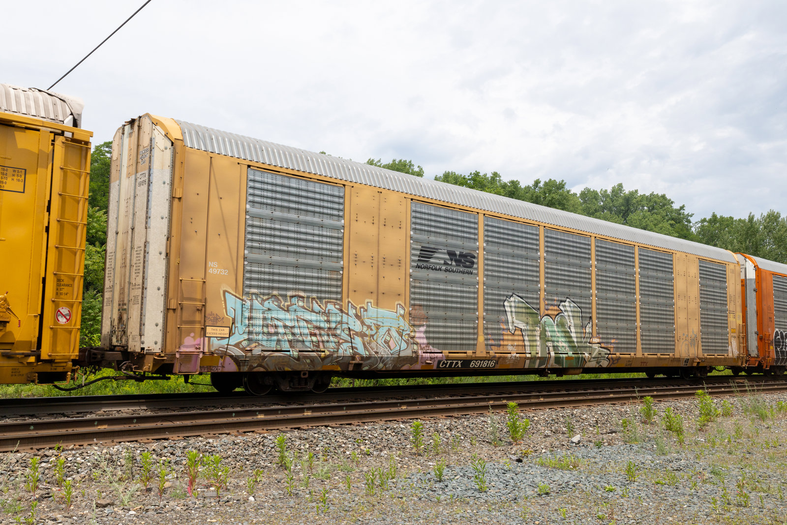 CTTX 691816
