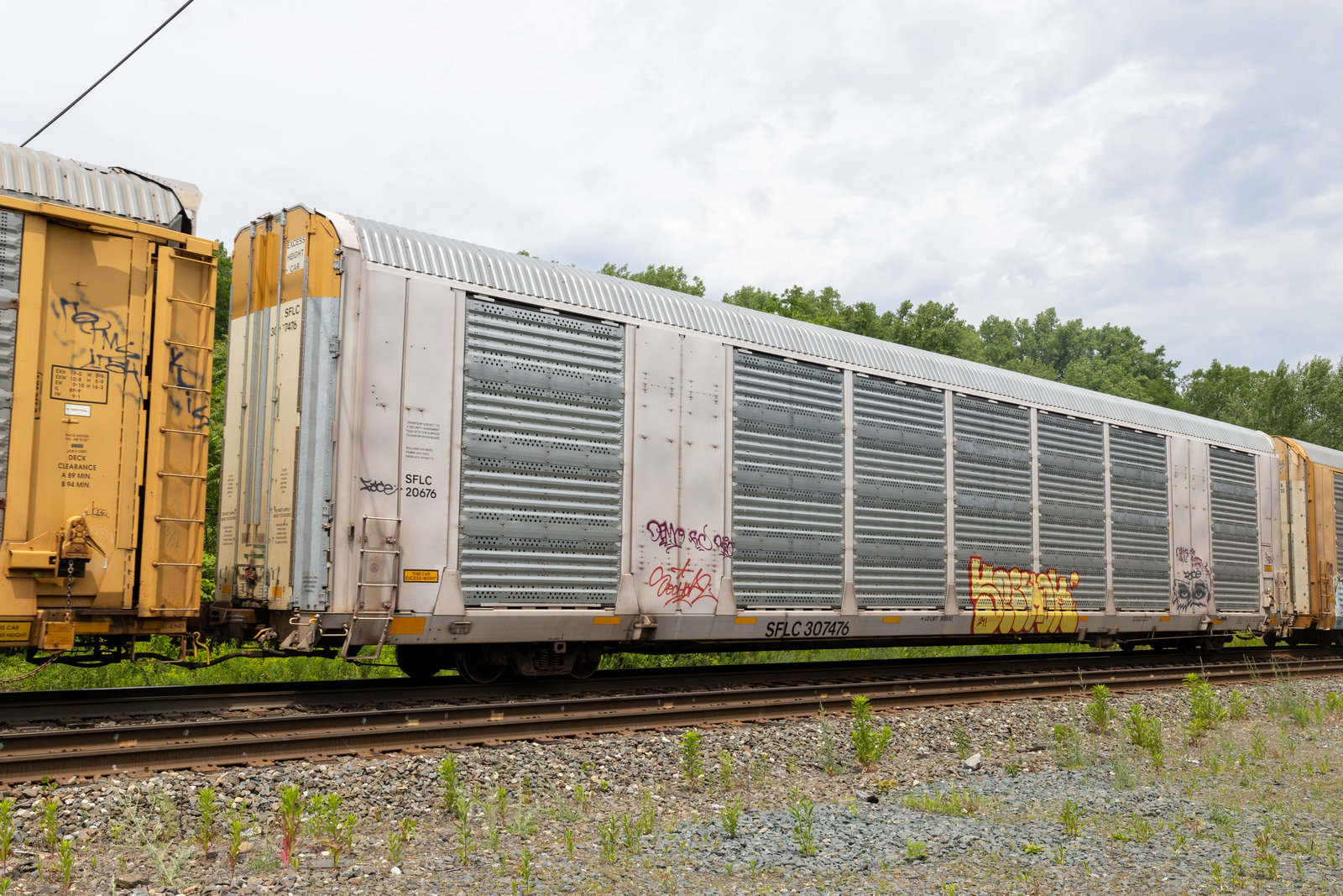 SFLC 307476
