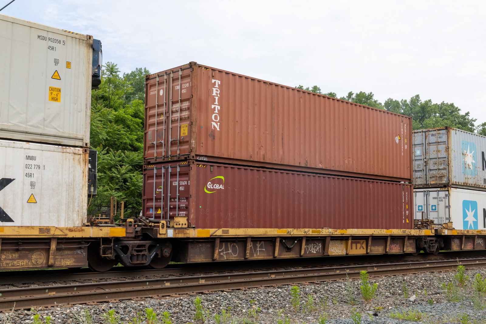DTTX 62446C