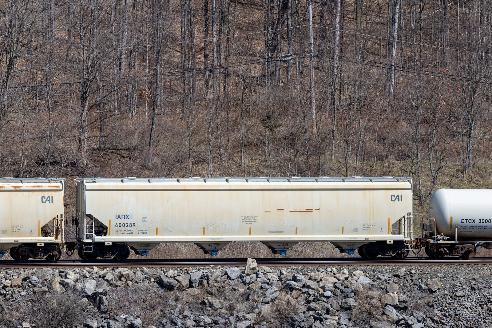 IARX 600289