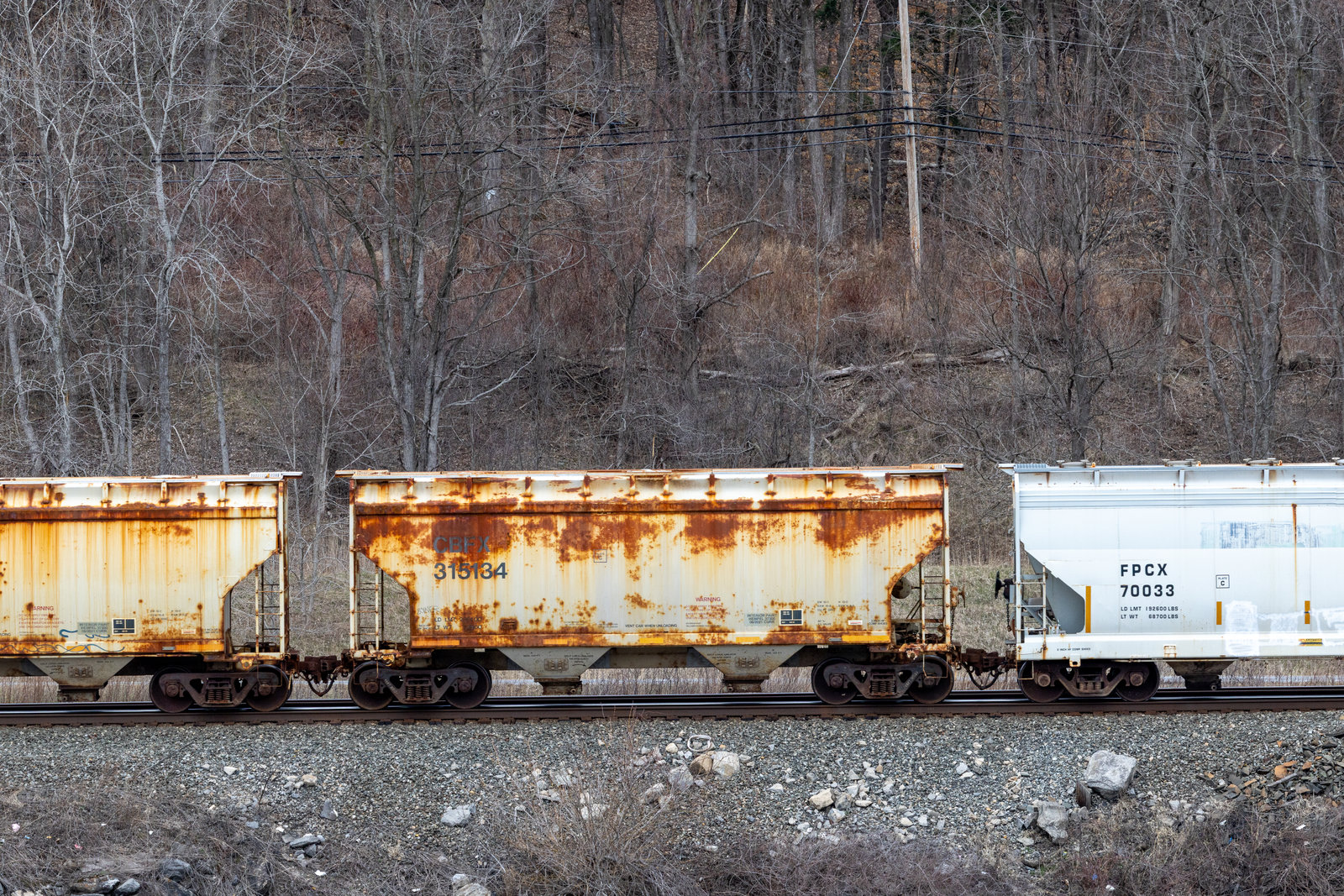 CBFX 315134