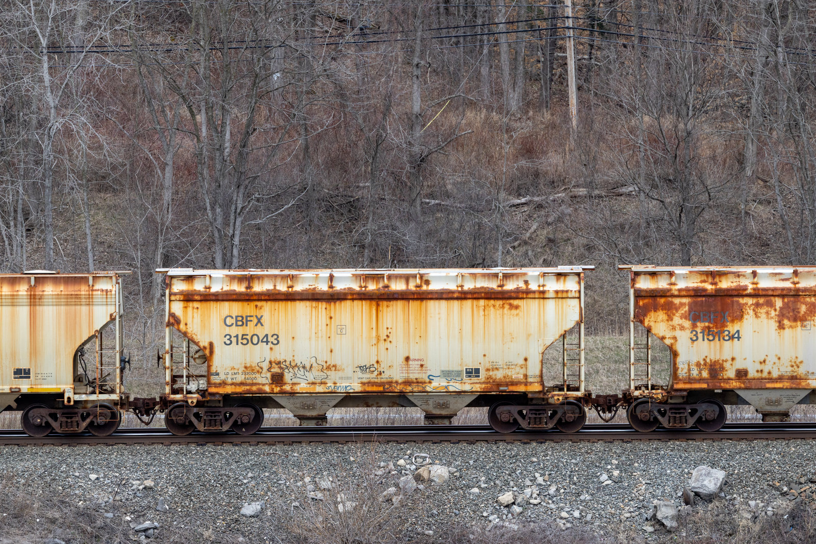 CBFX 315043