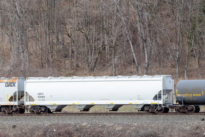 CEFX 53984