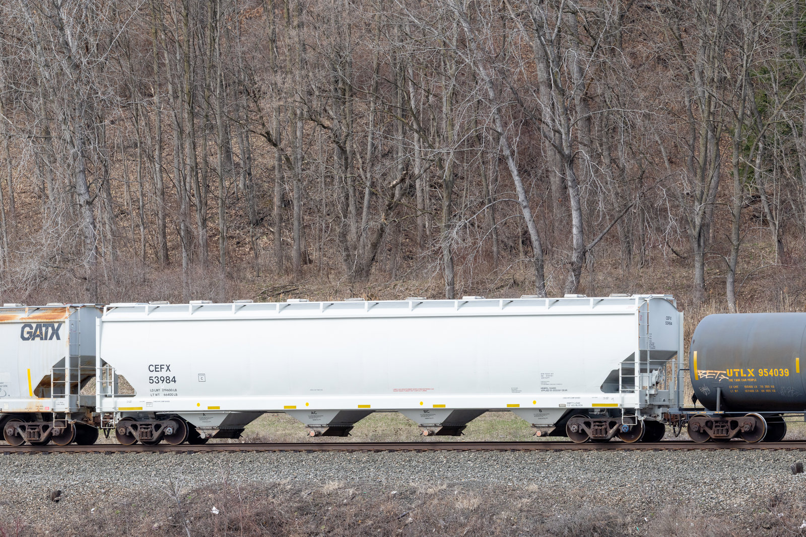 CEFX 53984