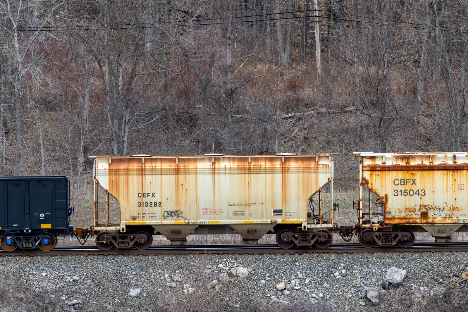 CEFX 313292