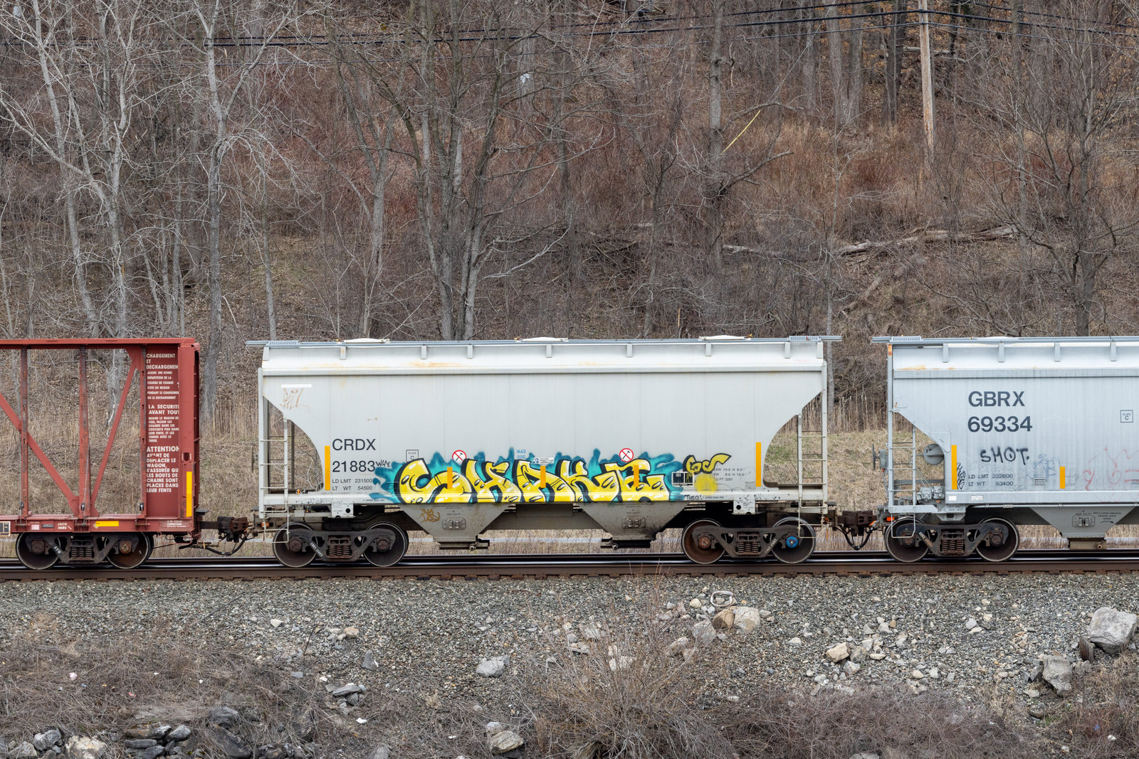CRDX 21883