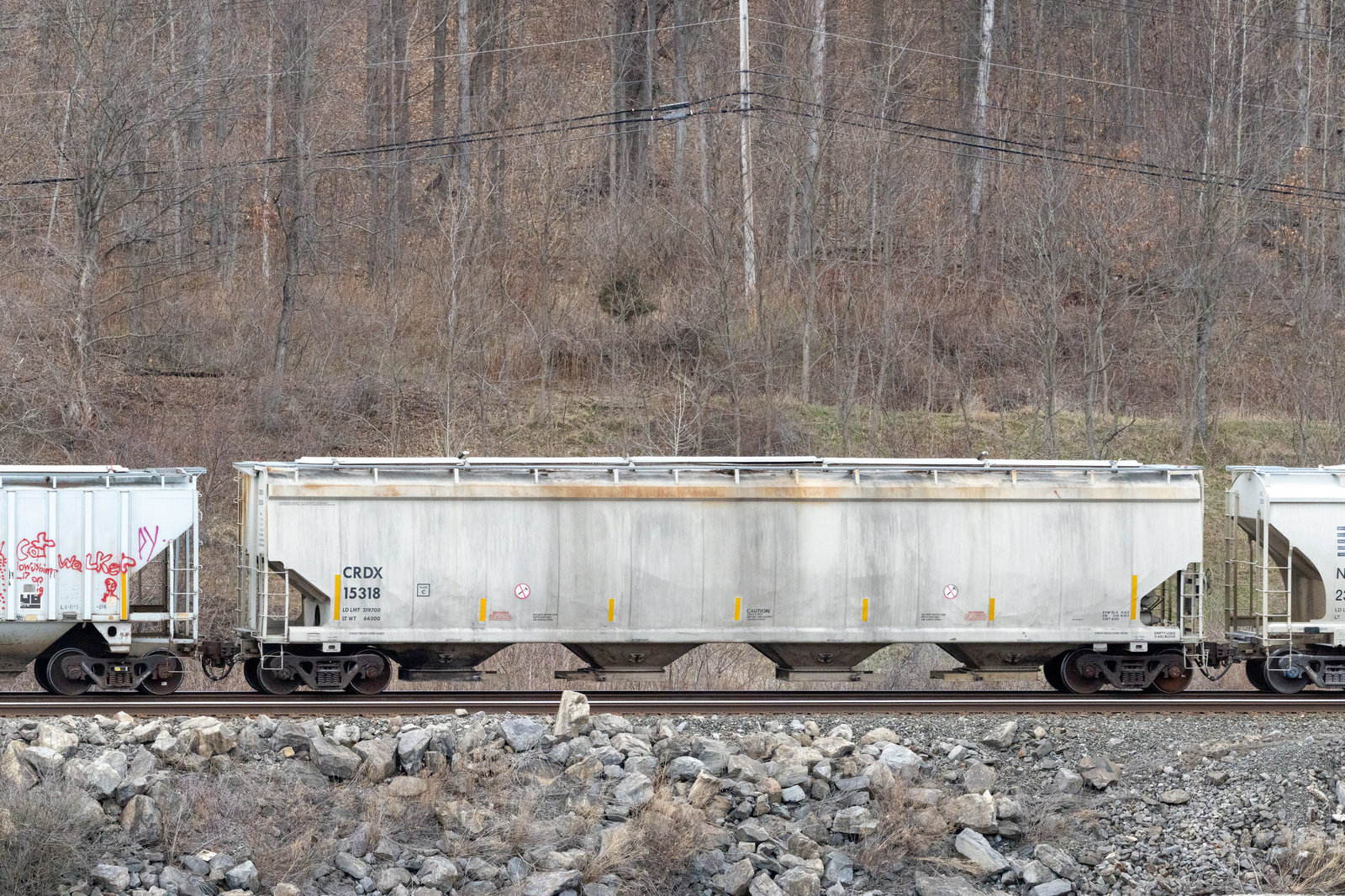 CRDX 15318