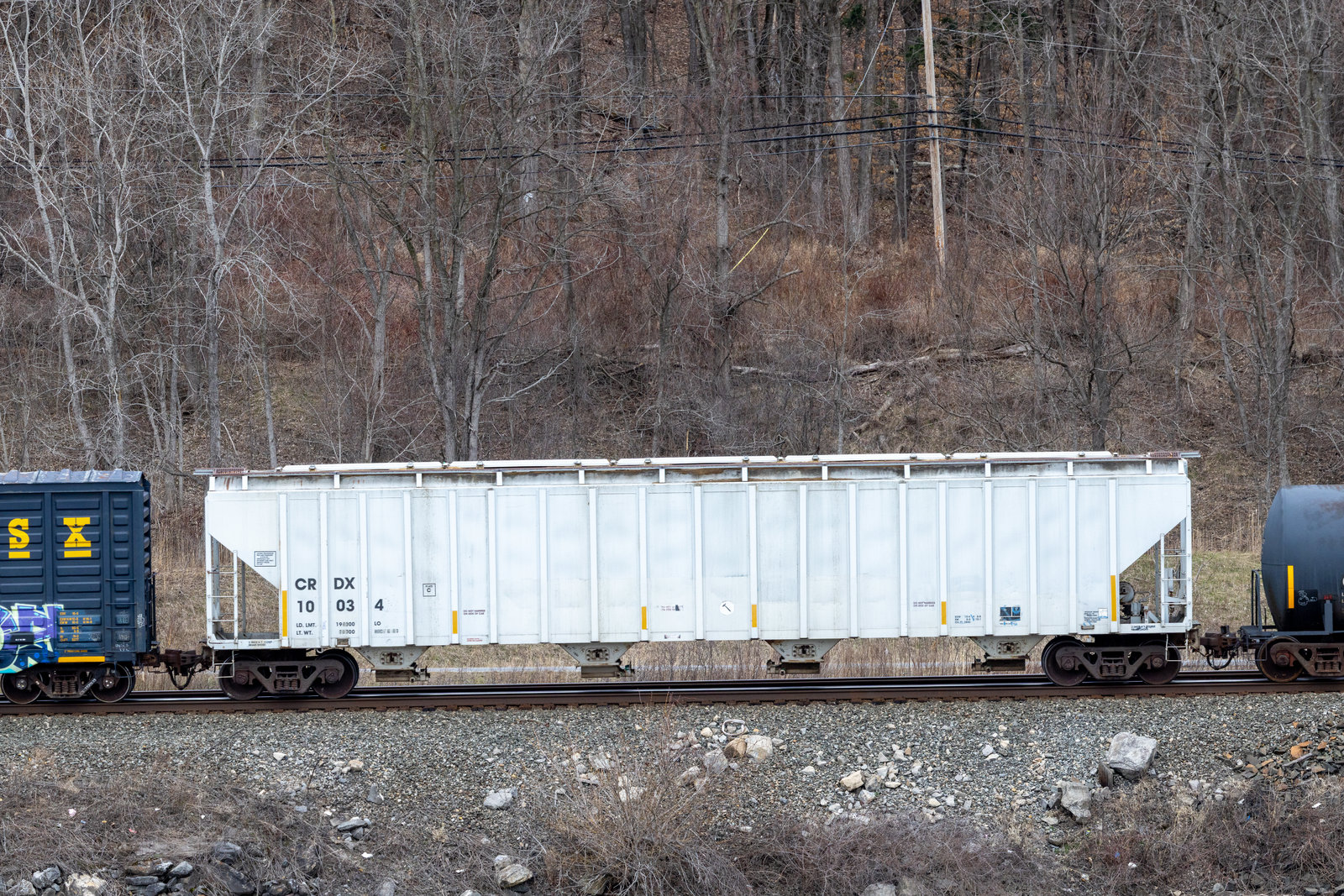 CRDX 10034
