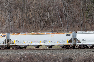 GPLX 77742